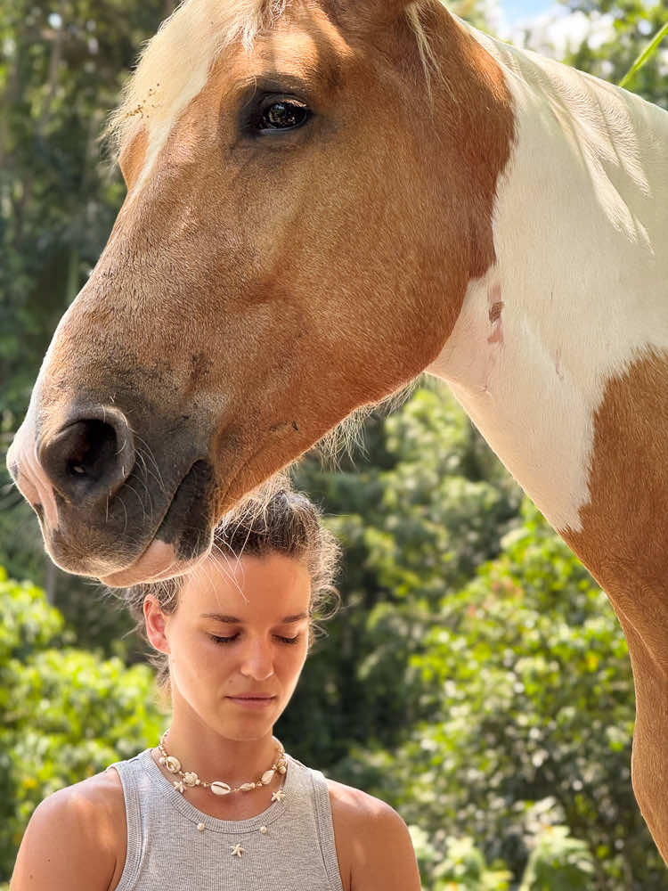 Kindred Spirits @horses.yoga 5
