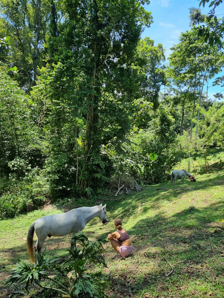Kindred Spirits @horses.yoga 6