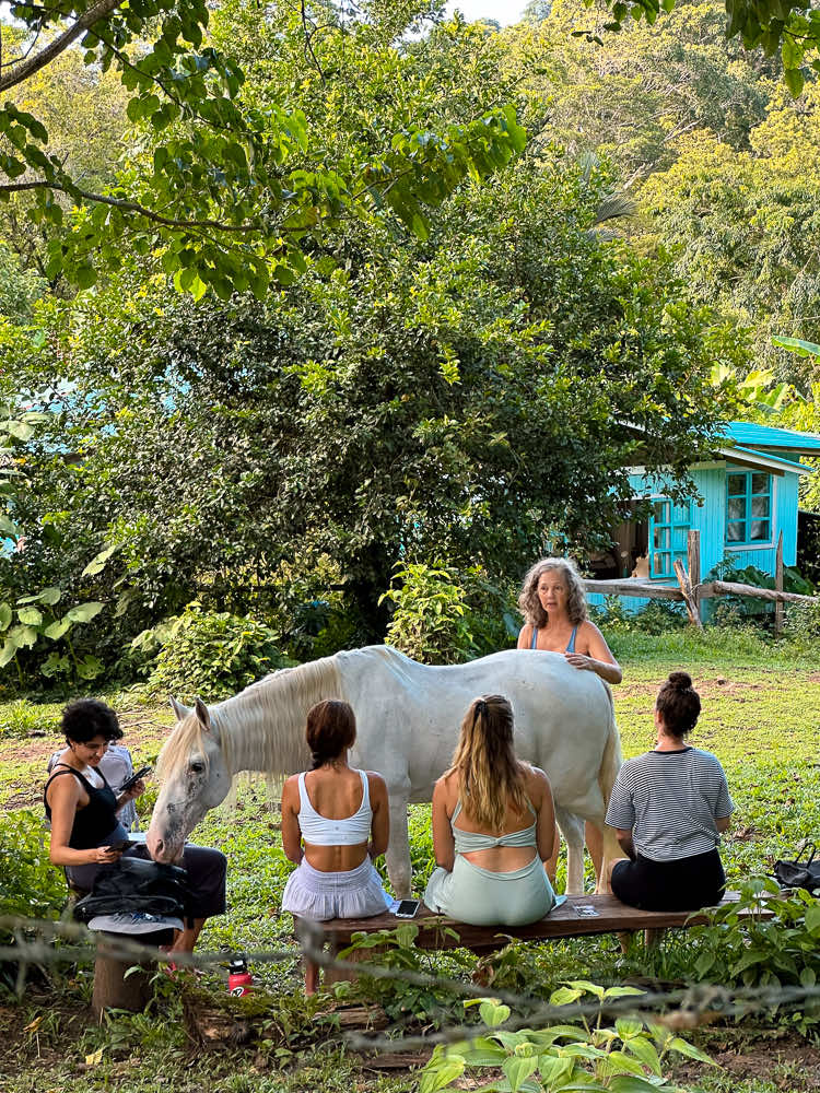 Kindred Spirits @horses.yoga 7